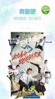 骑士电影院,光影交织的梦幻之旅