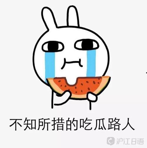 娱乐圈吃瓜路人